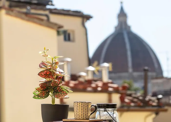 Roofscape View